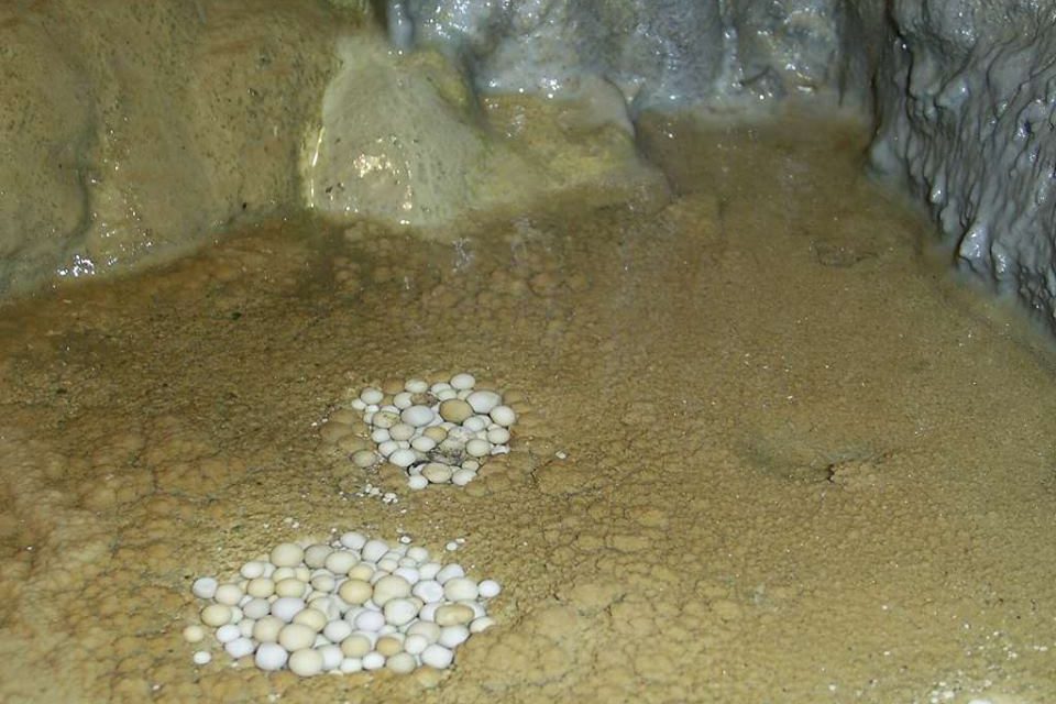Перлите в Ягодинска пещера, с. Ягодина, Родопите