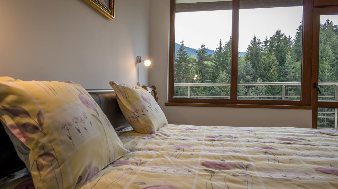 Стая с двойно легло king size с изглед към планината
